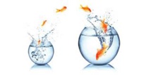 Gestion du changement