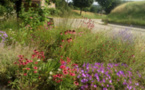 Villes et villages fleuris - Remise des labels 2015
