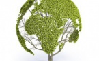 Appel à projets en matière de biodiversité (associations)